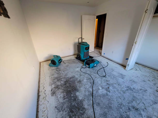 Best Mold removal after water damage  in Arrowhead Beach, NC