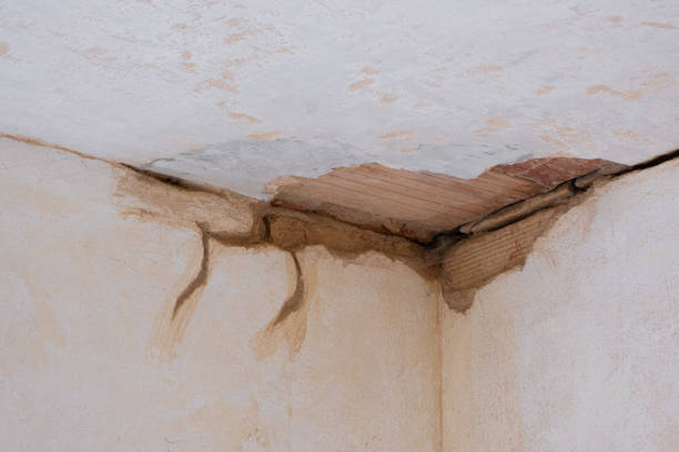 Water damage restoration mold remediation in Arrowhead Beach, NC