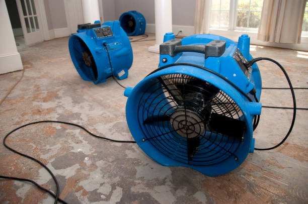 Best Water damage restoration near me  in Arrowhead Beach, NC