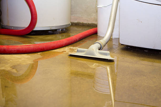 Best Residential water damage restoration  in Arrowhead Beach, NC