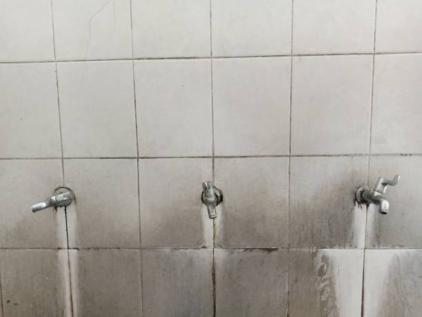 Best Water damage cleanup near me  in Arrowhead Beach, NC