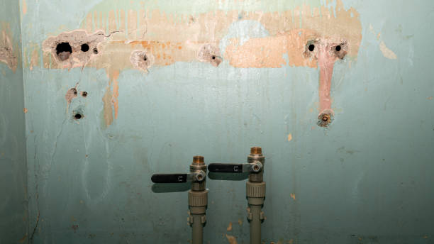 Best Residential water damage restoration  in Arrowhead Beach, NC