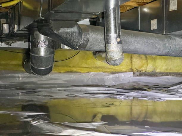 Best Local water damage restoration  in Arrowhead Beach, NC