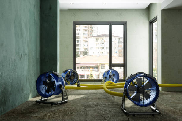 Best Local water damage restoration  in Arrowhead Beach, NC