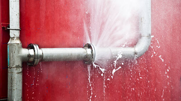 Best Professional water damage repair  in Arrowhead Beach, NC
