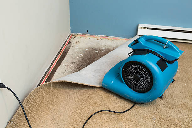 Best Water damage restoration near me  in Arrowhead Beach, NC